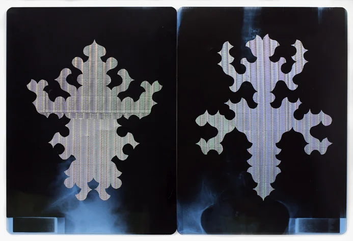 Séverine Hubard, "Bicho raro (L'un est le double de l'autre)", 2016