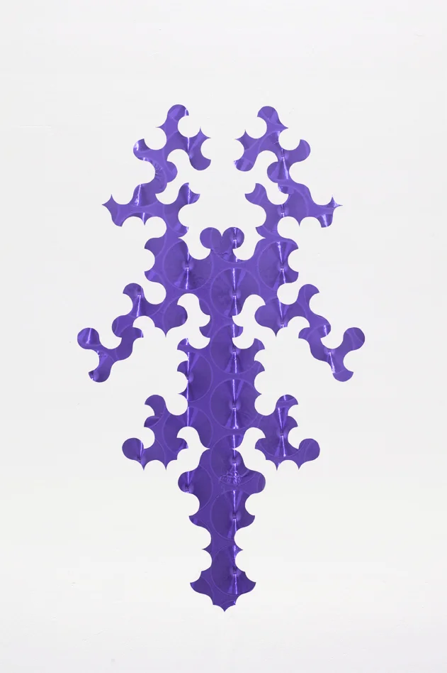 Séverine Hubard, "Bicho raro", 2016