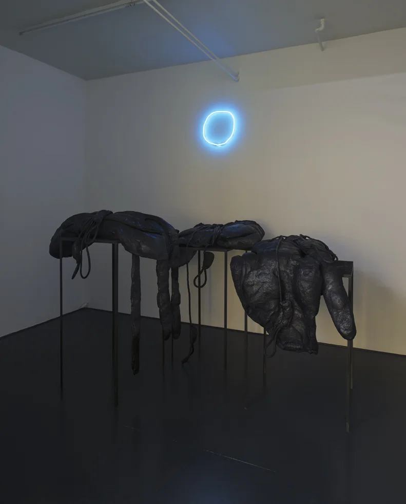 Angelika Markul, "Excavations of the Future", 2016
