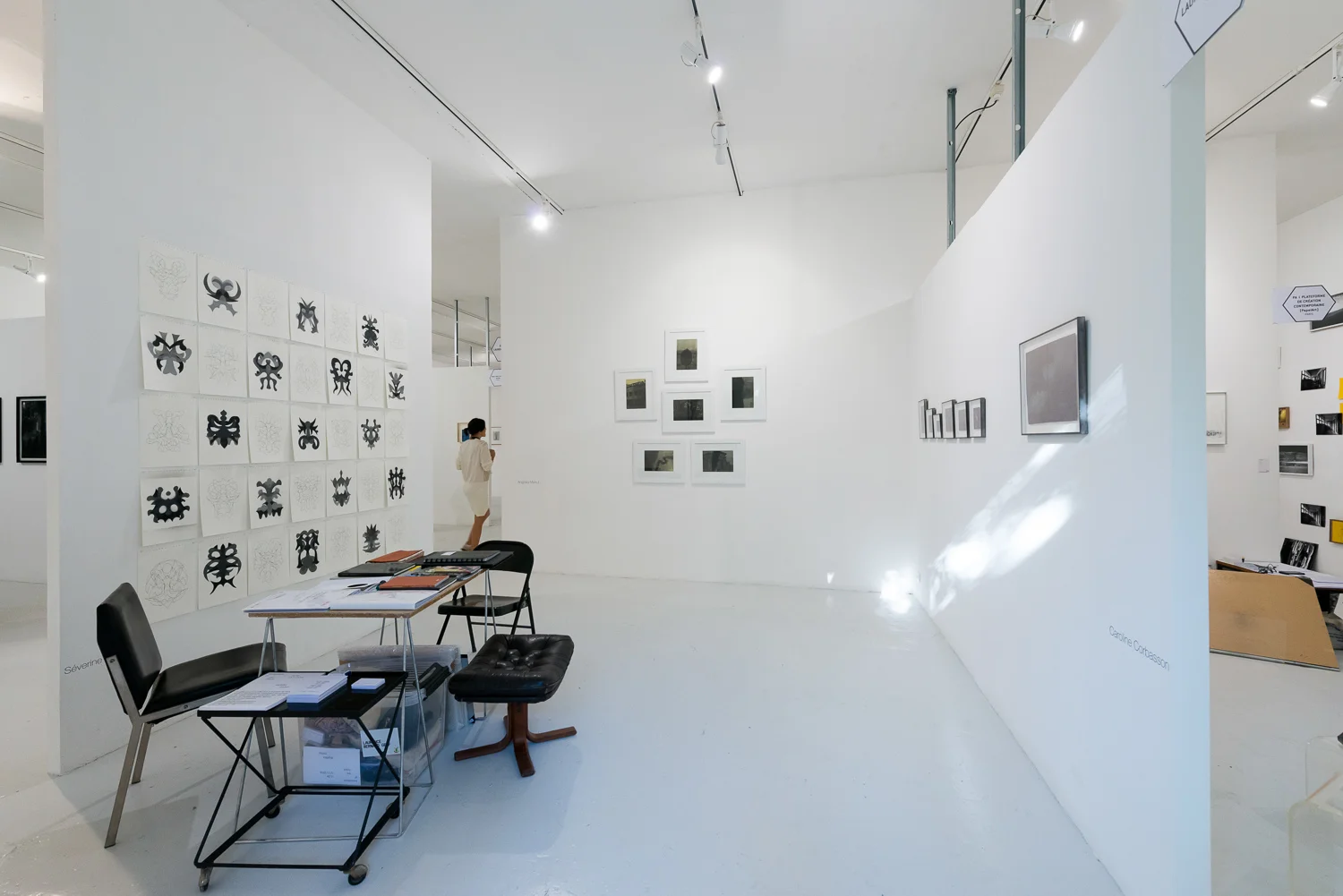 Paréidolie 2016, Galerie Laurence Bernard