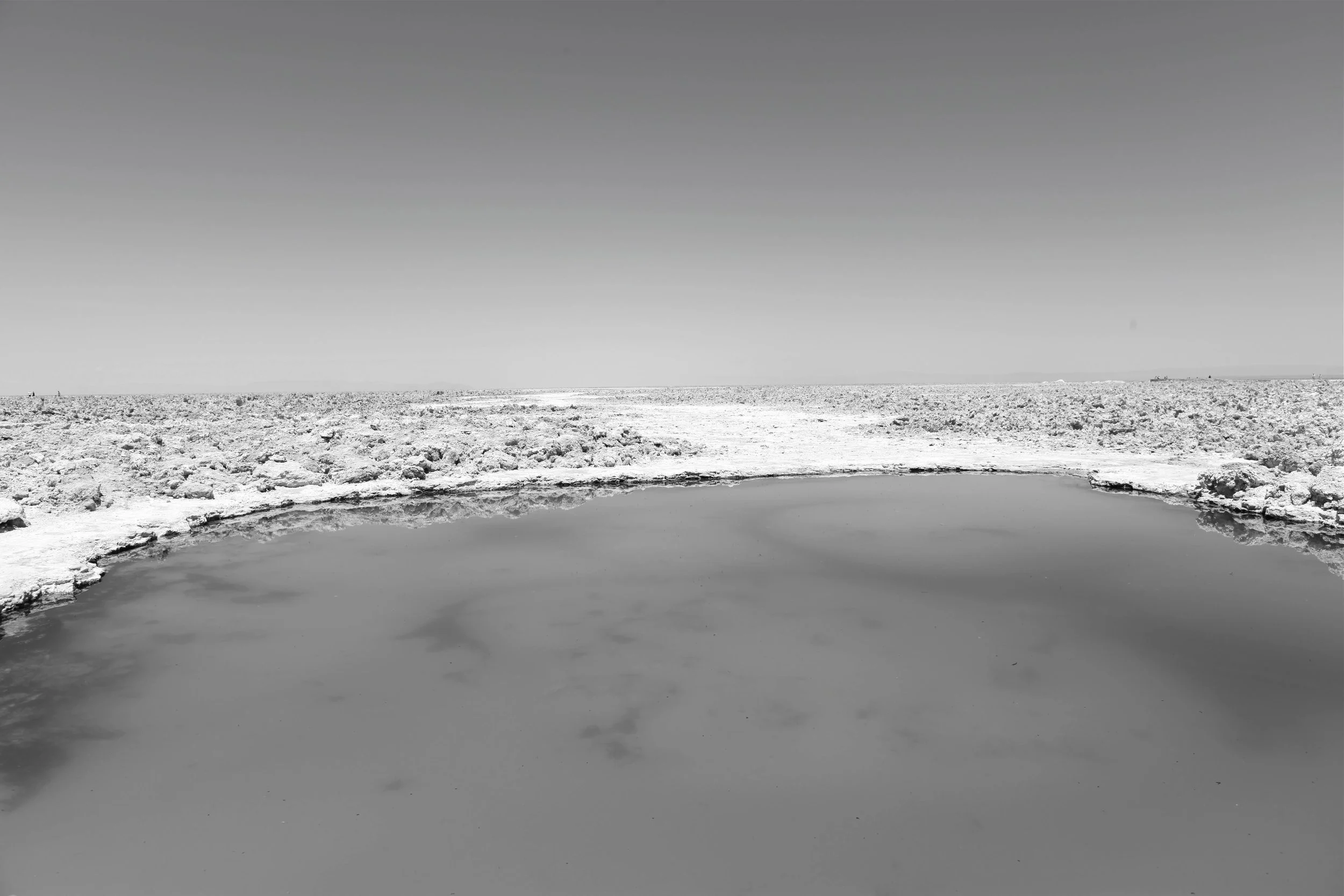 Angelika Markul, Terre de départ, 2016