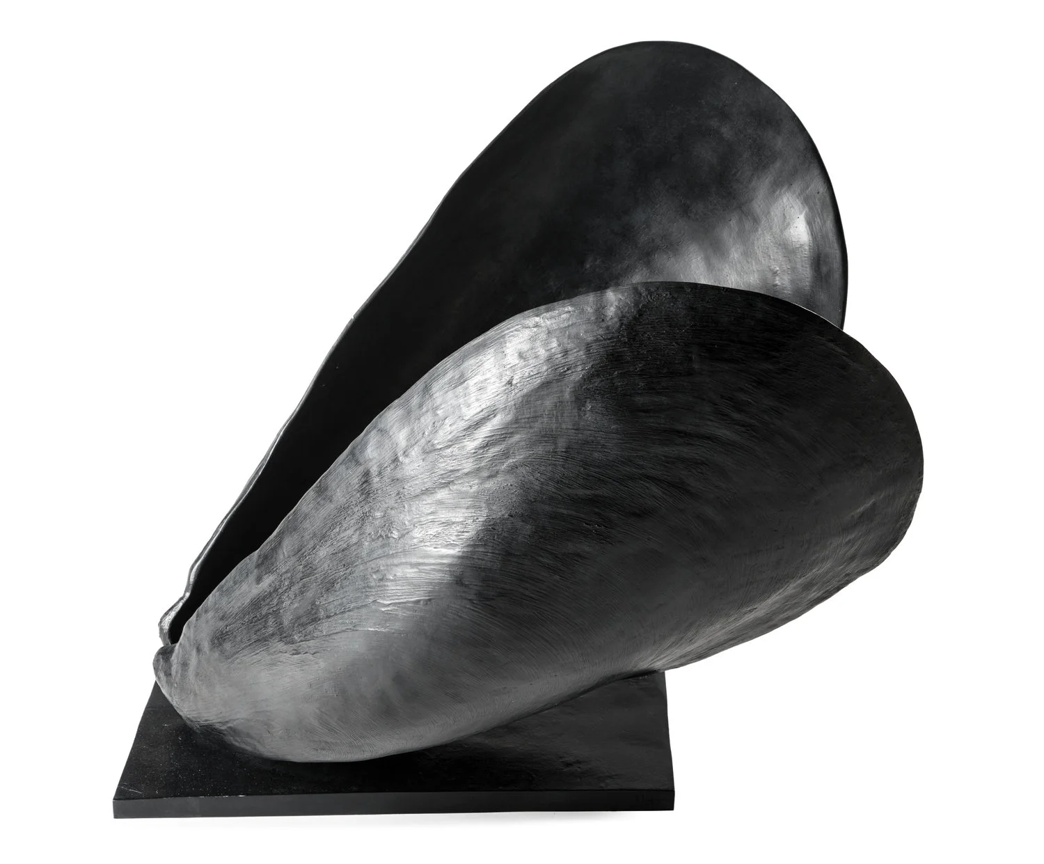 Medio tutissimus ibis. 2013