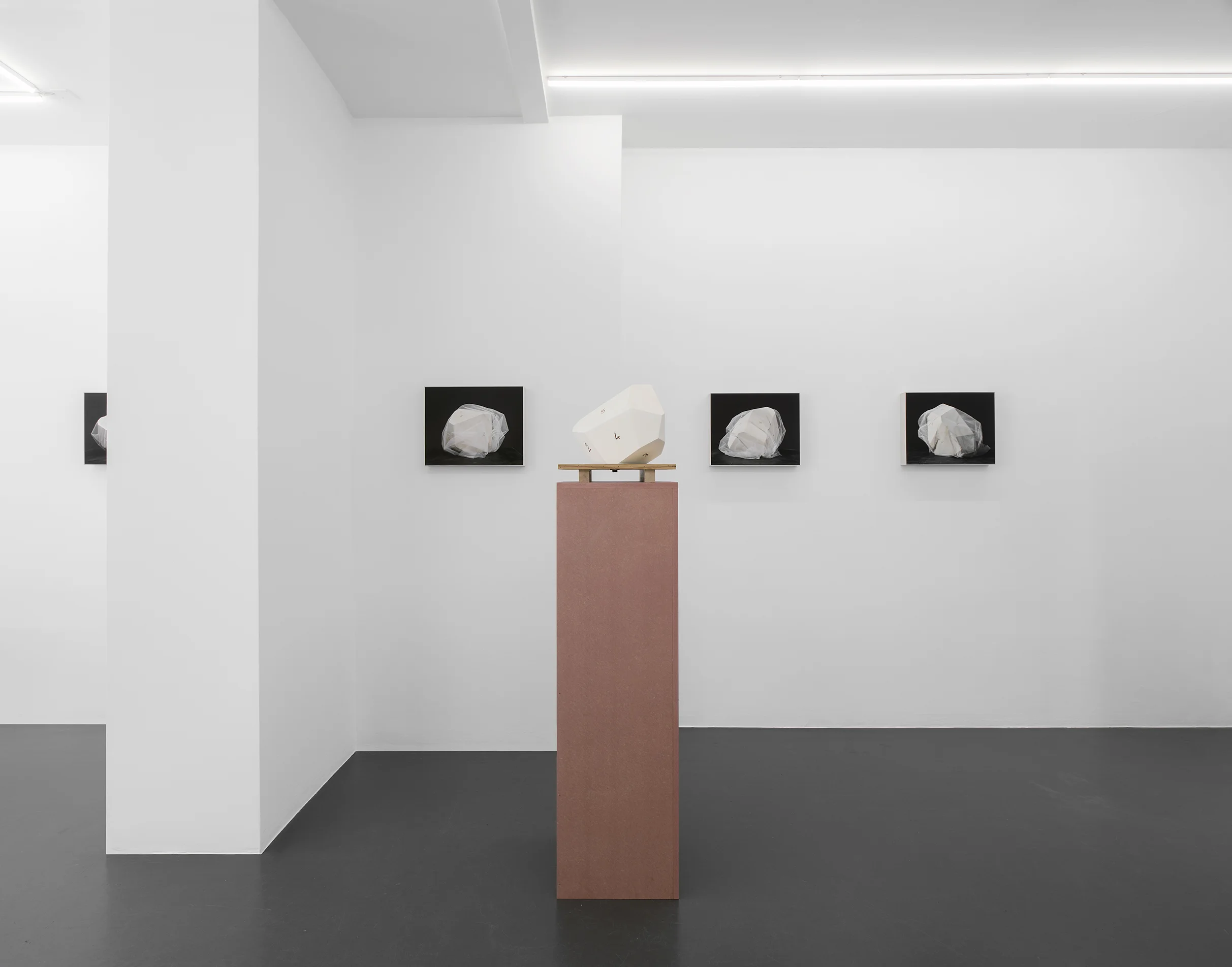 Vue de l'exposition “Sculptures / Photographies” / “Sculptures / Photographies” exhibition view