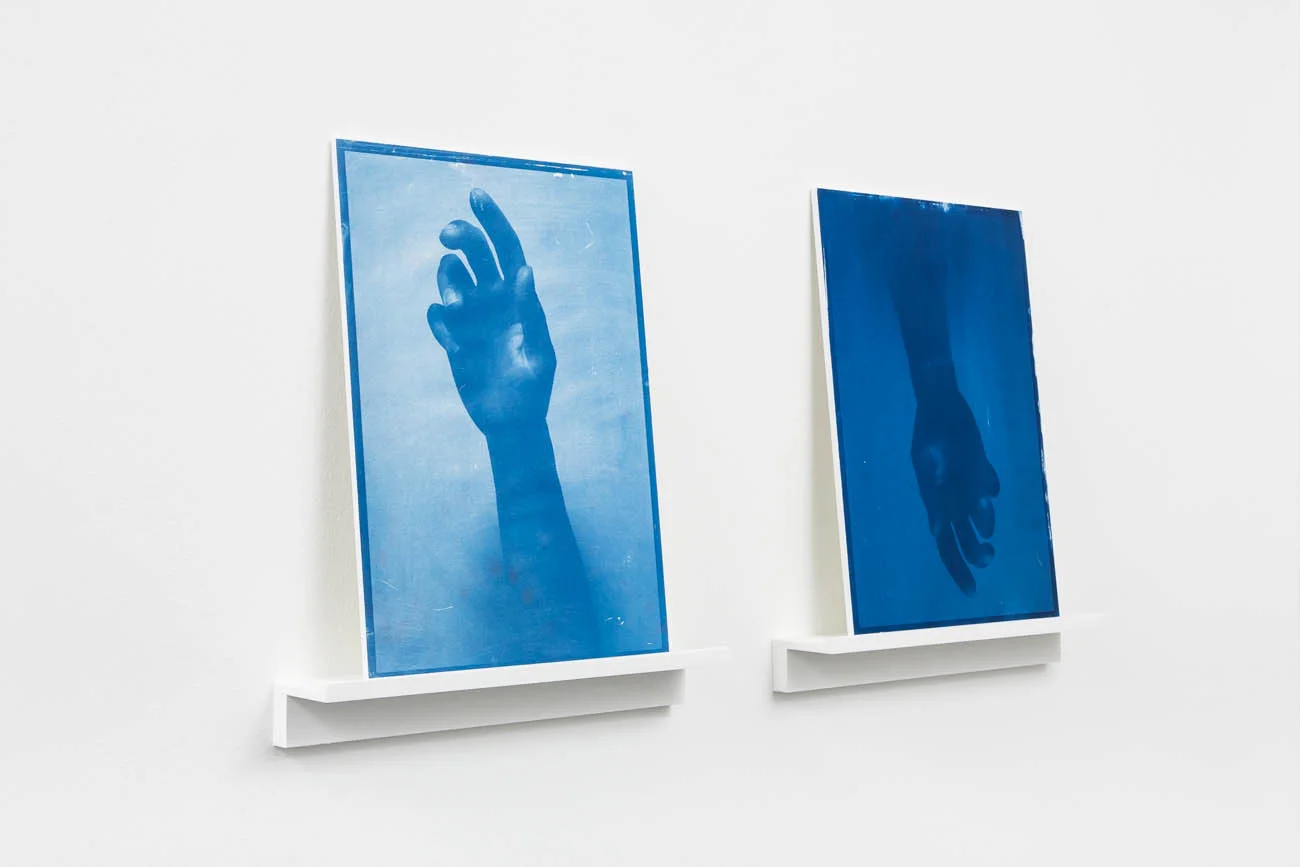 Marion Tampon-Lajarriette, "Eventide (a, b)", 2018