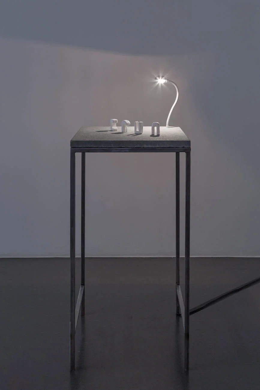 Marion Tampon-Lajarriette, "Echo", 2018