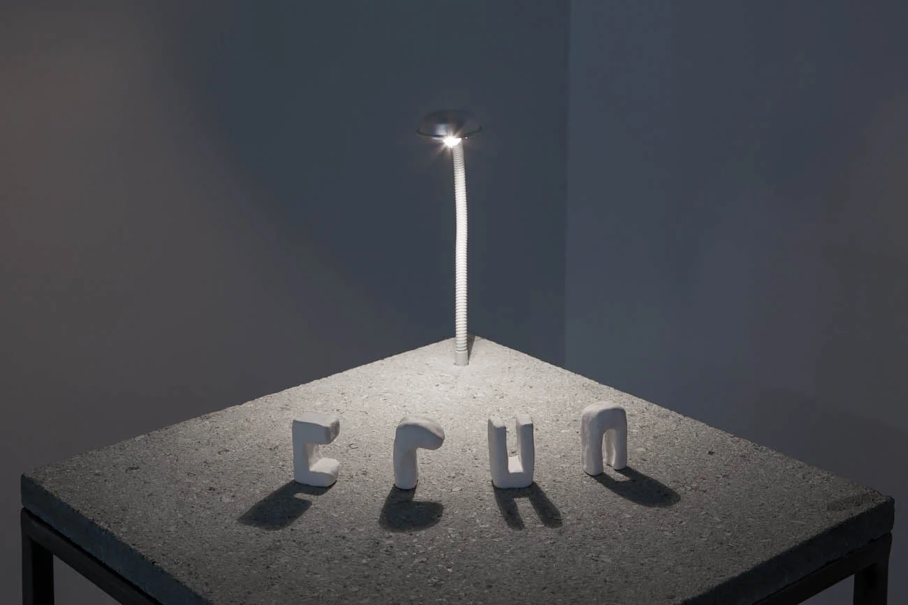 Marion Tampon-Lajarriette, "Echo" (détail), 2018