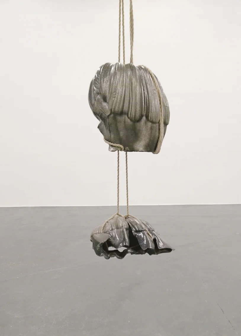 Shibari, 2015