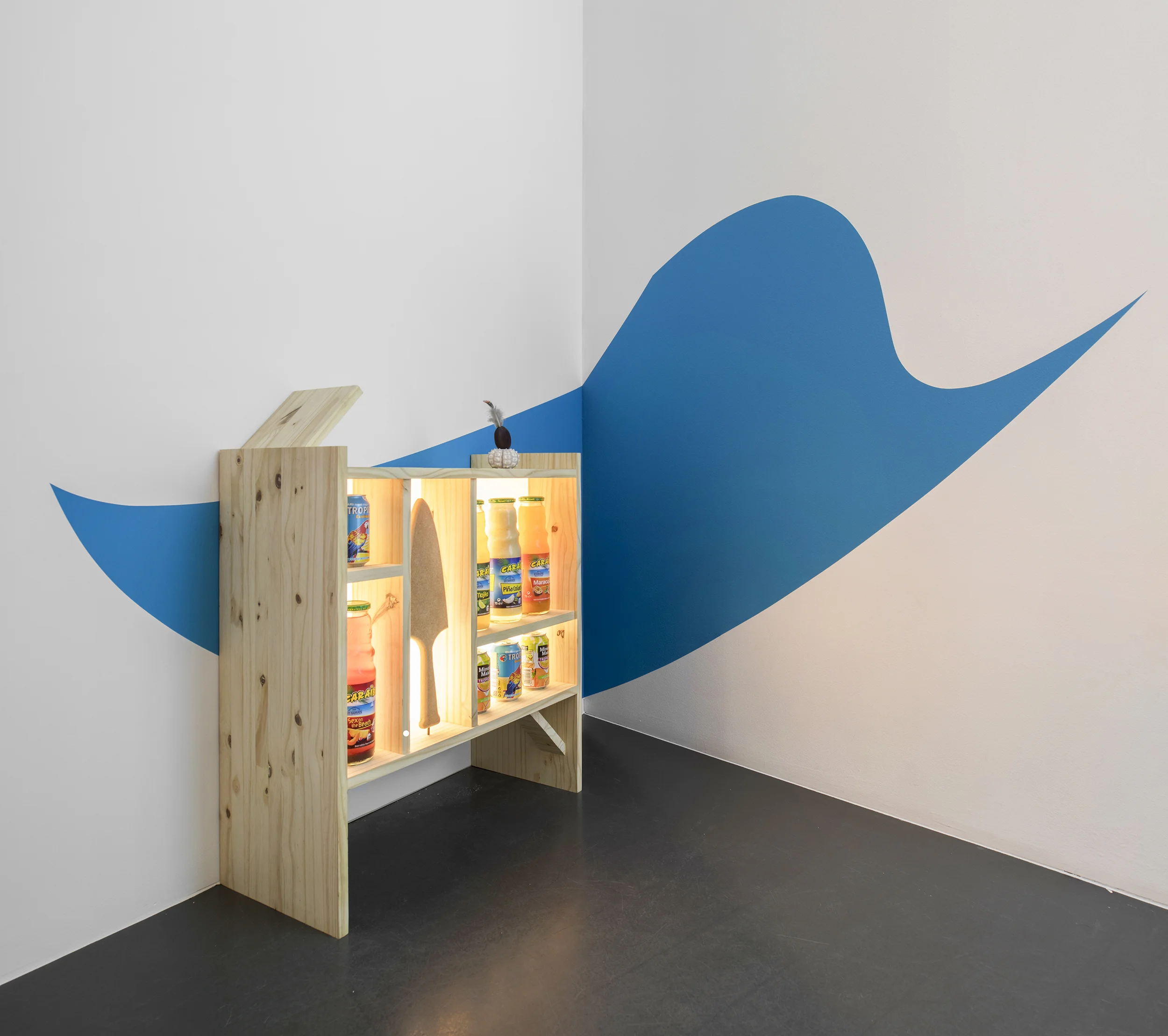 Florian Viel, "Cabinet des souvenirs approximatifs 3", 2017