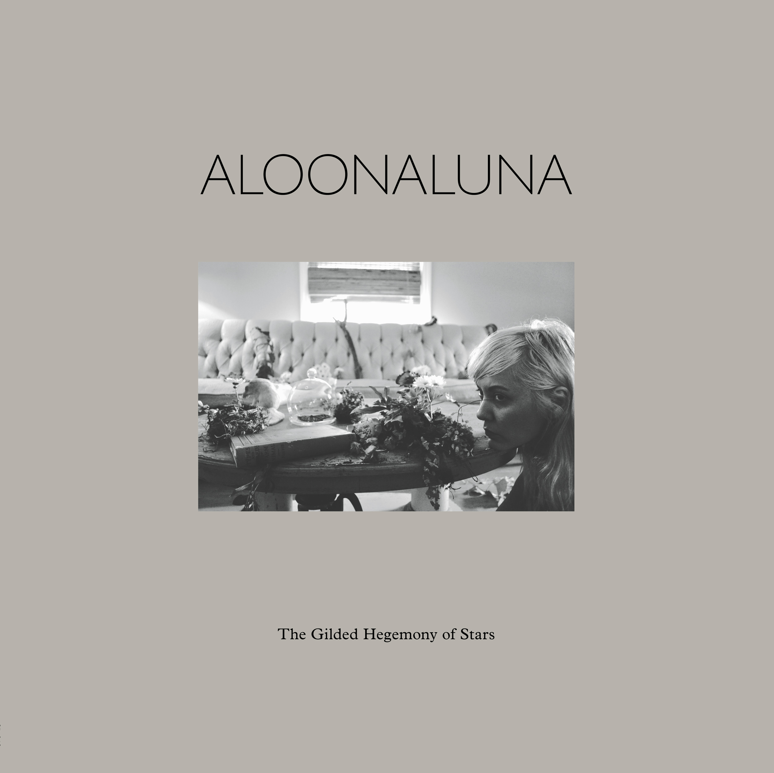 aloonaluna_SR-019_VTemplate_Guide-V3.jpg