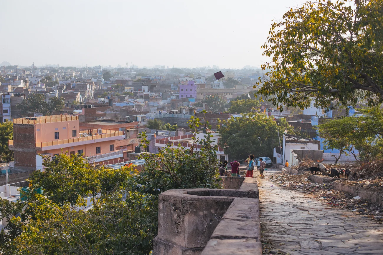 India-6800.jpg