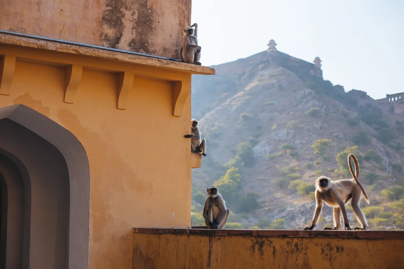 India-6877.jpg