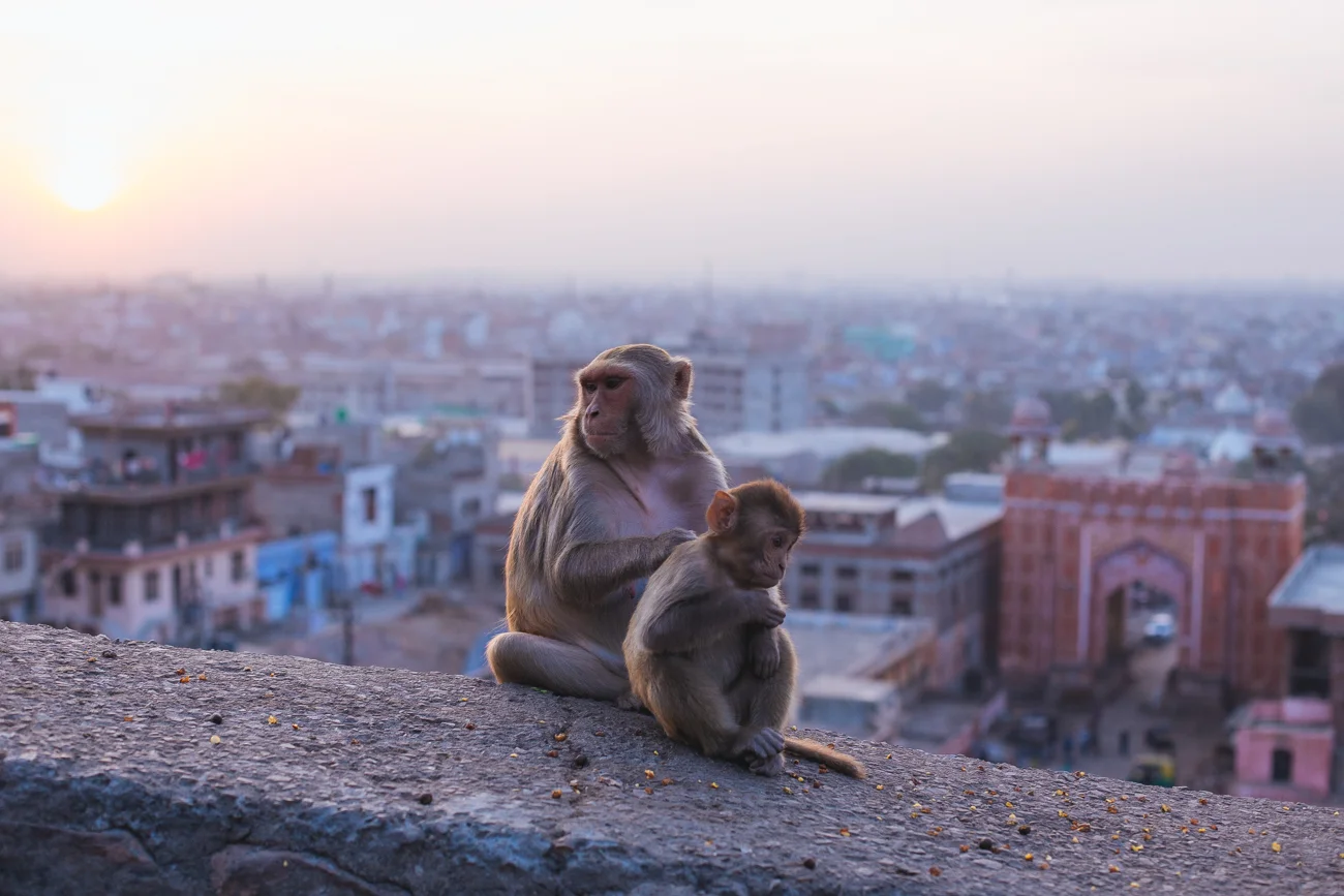 India-6947.jpg