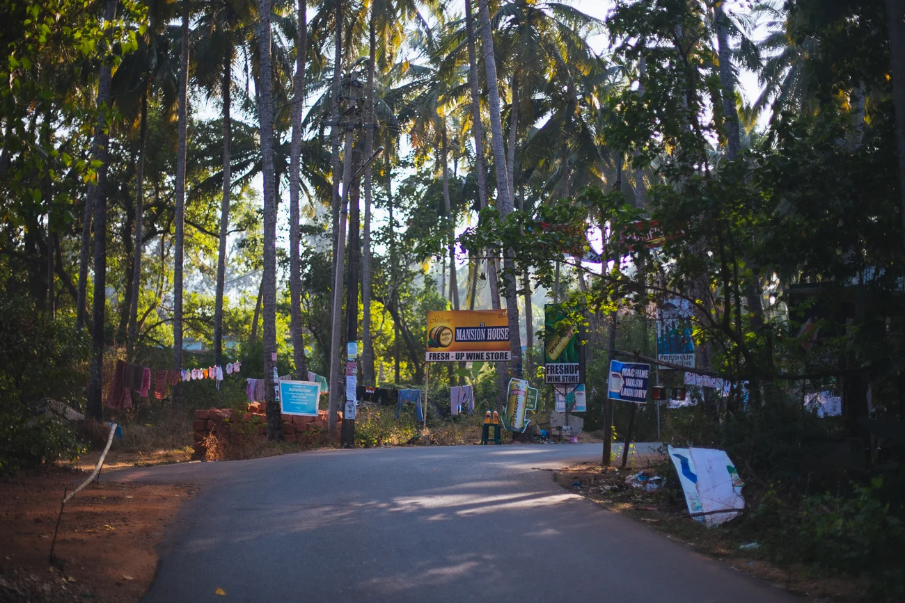 India-7733.jpg