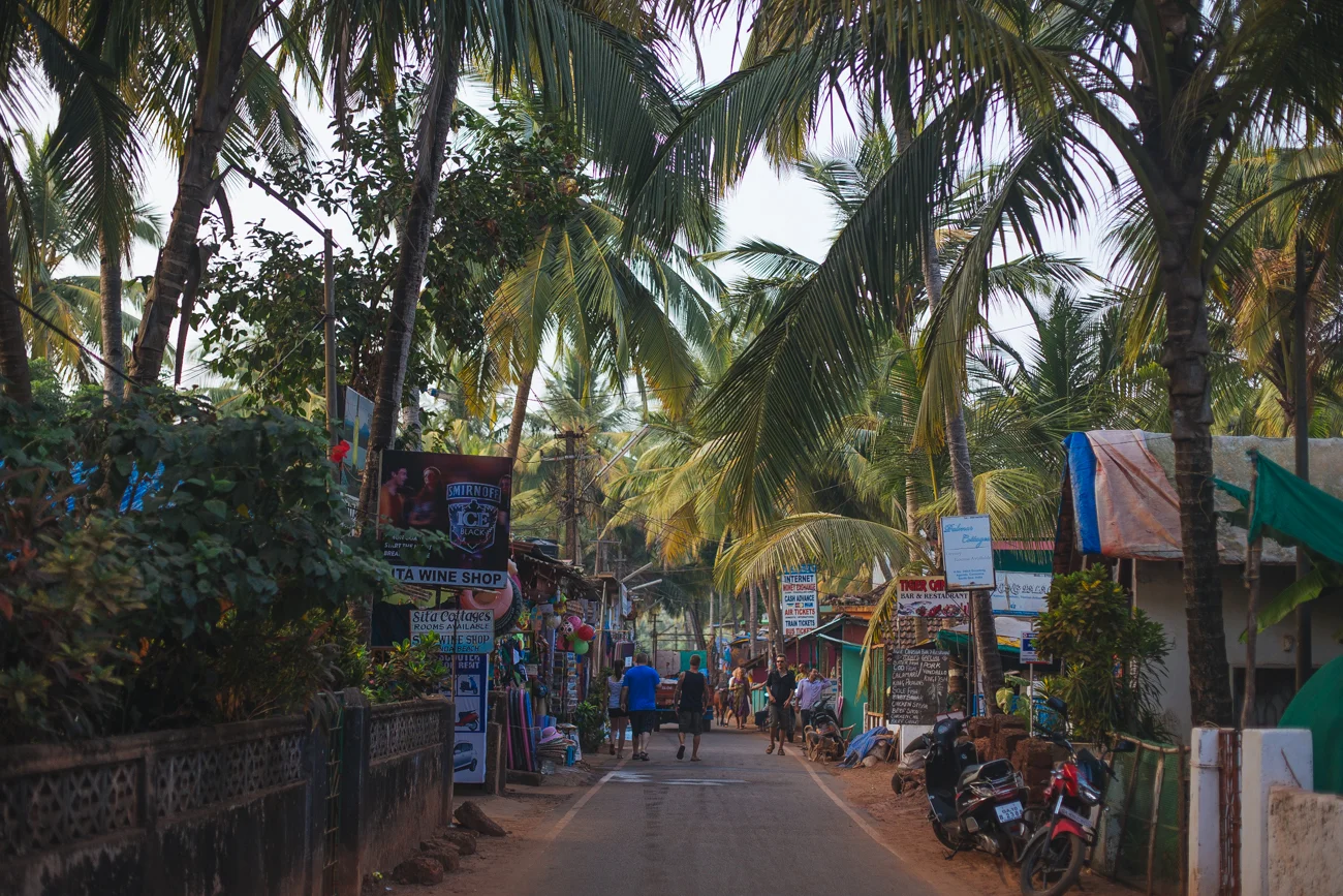 India-7752.jpg
