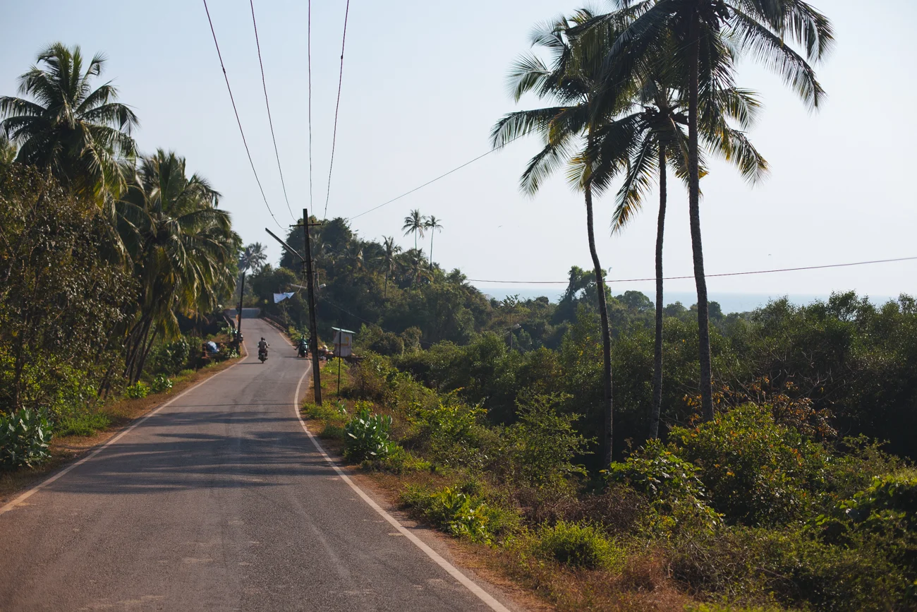 India-7838.jpg