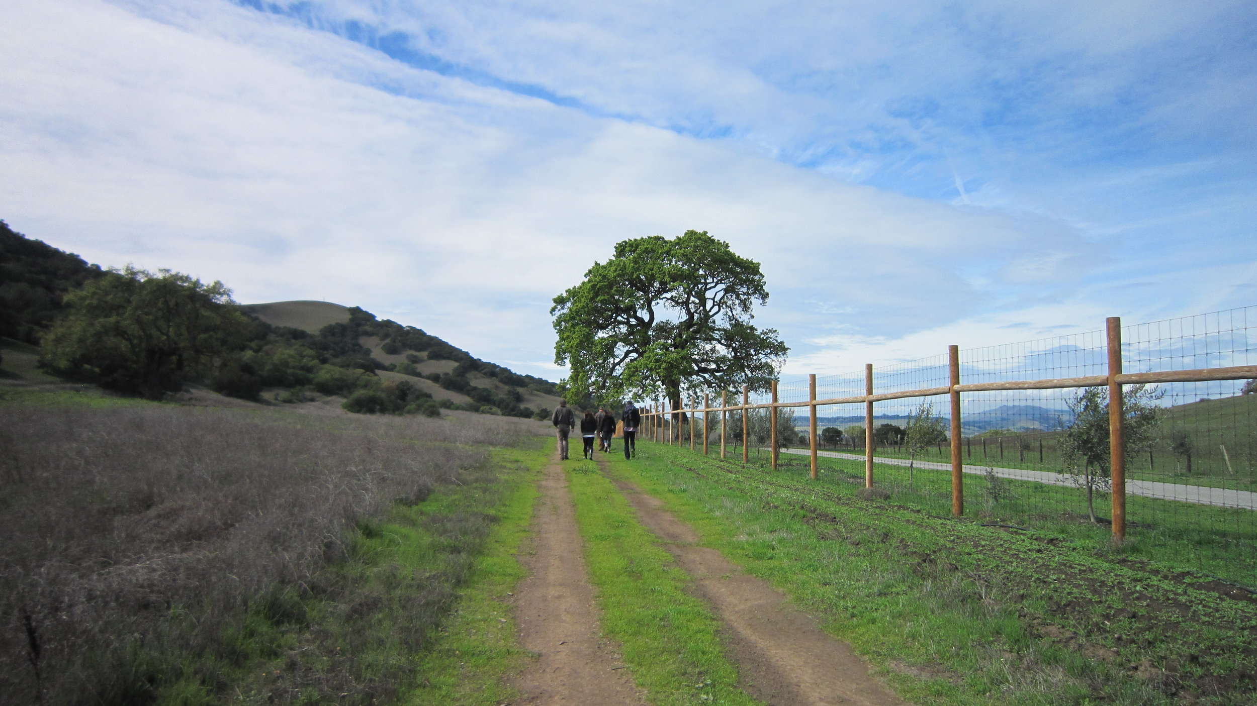 Popelouchum_fence_300dpi.jpg