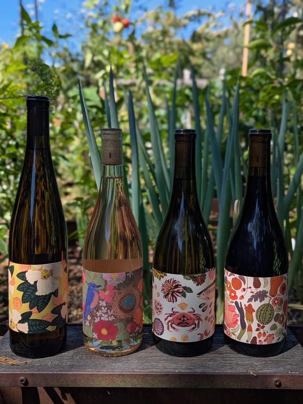 Anne Amie Wines — ampelography