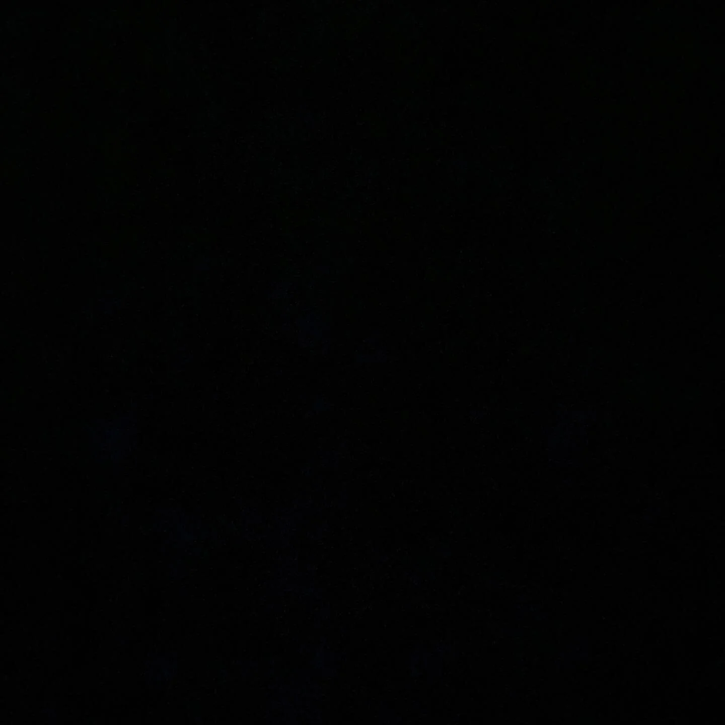 Three hundred years of humiliation, abuse and deprivation cannot be expected to find voice in a whisper. -Martin Luther King Jr.