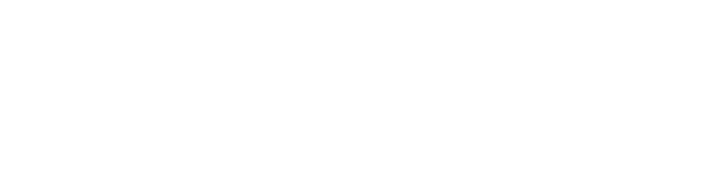 Seth Rexilius - Creative Director