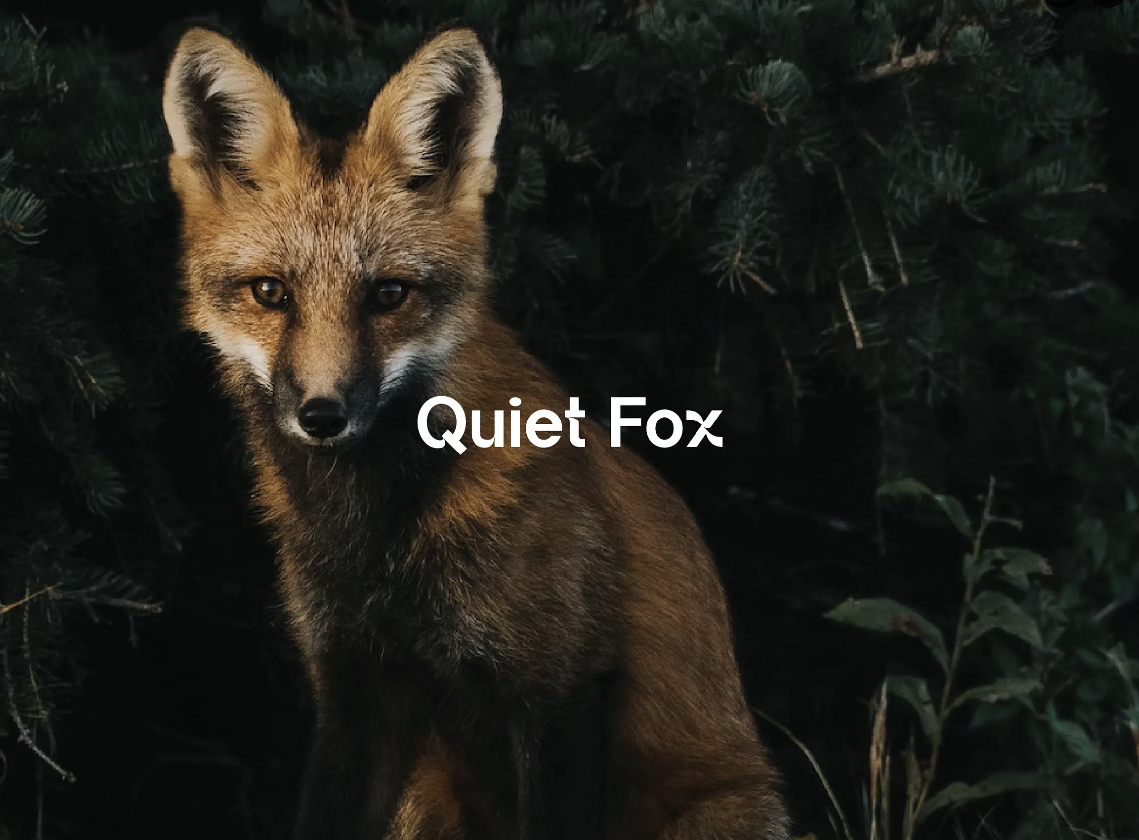 Screenshot 2026-04-04 at 8.54.18 PM.png