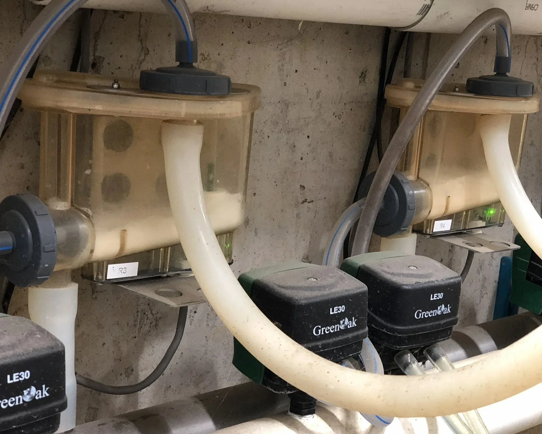 goat milk meter in parlour