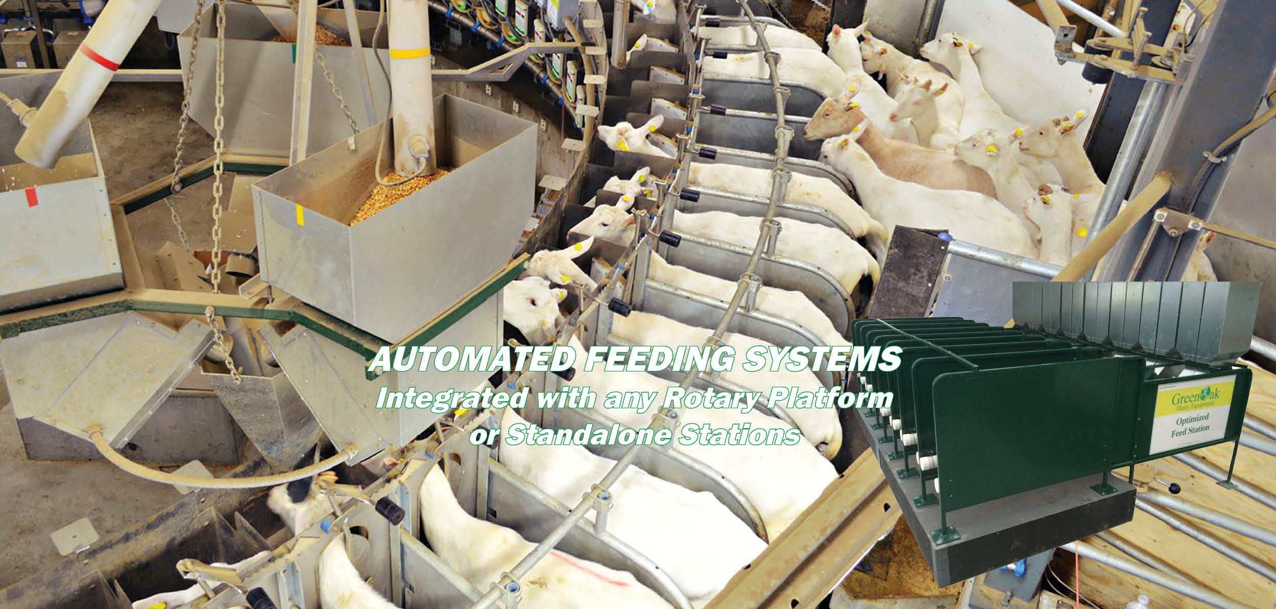 AUTOMATED FEEDING SYSTEMS WL.jpg