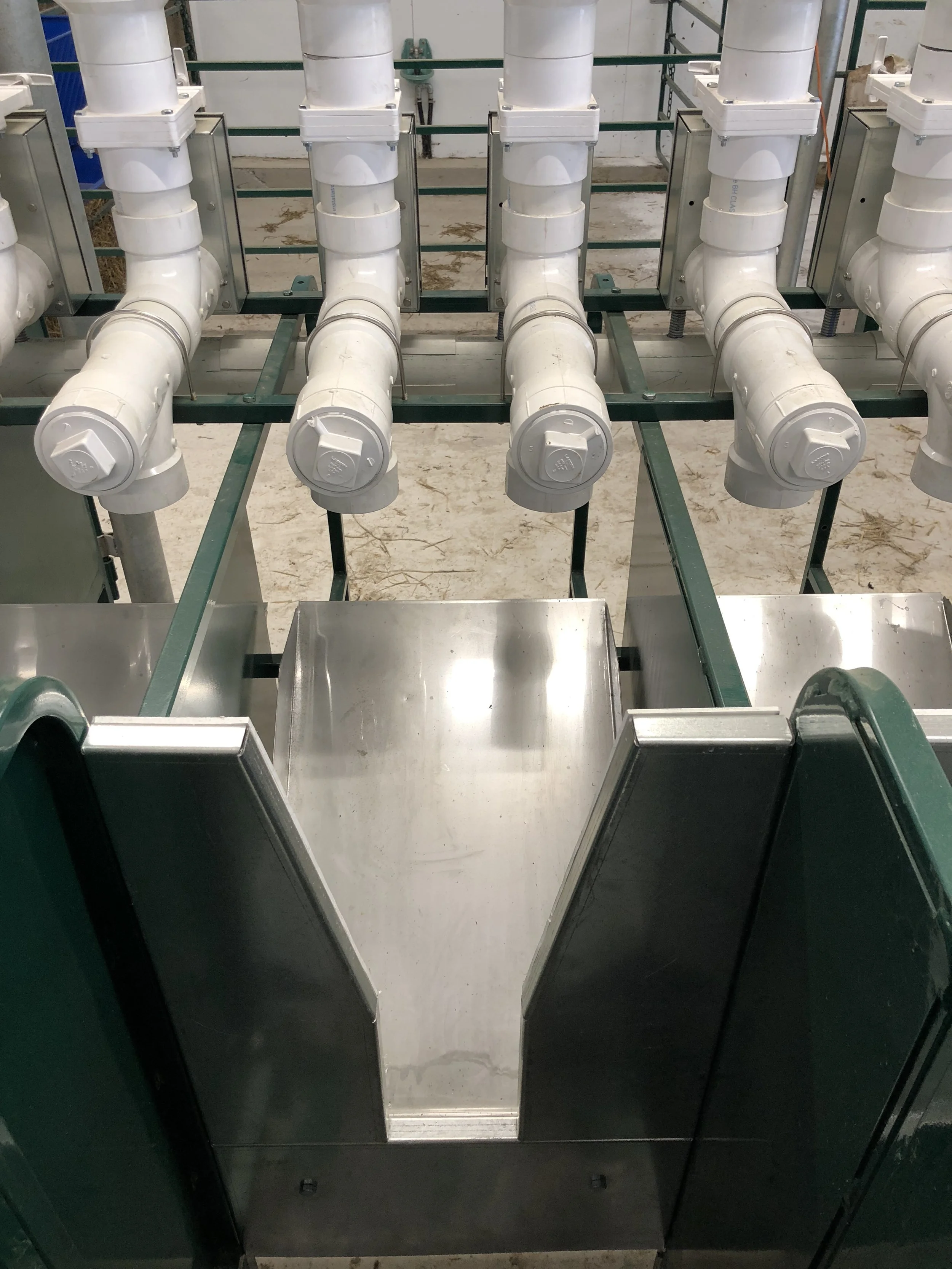 Goat feeding station with RFID identification