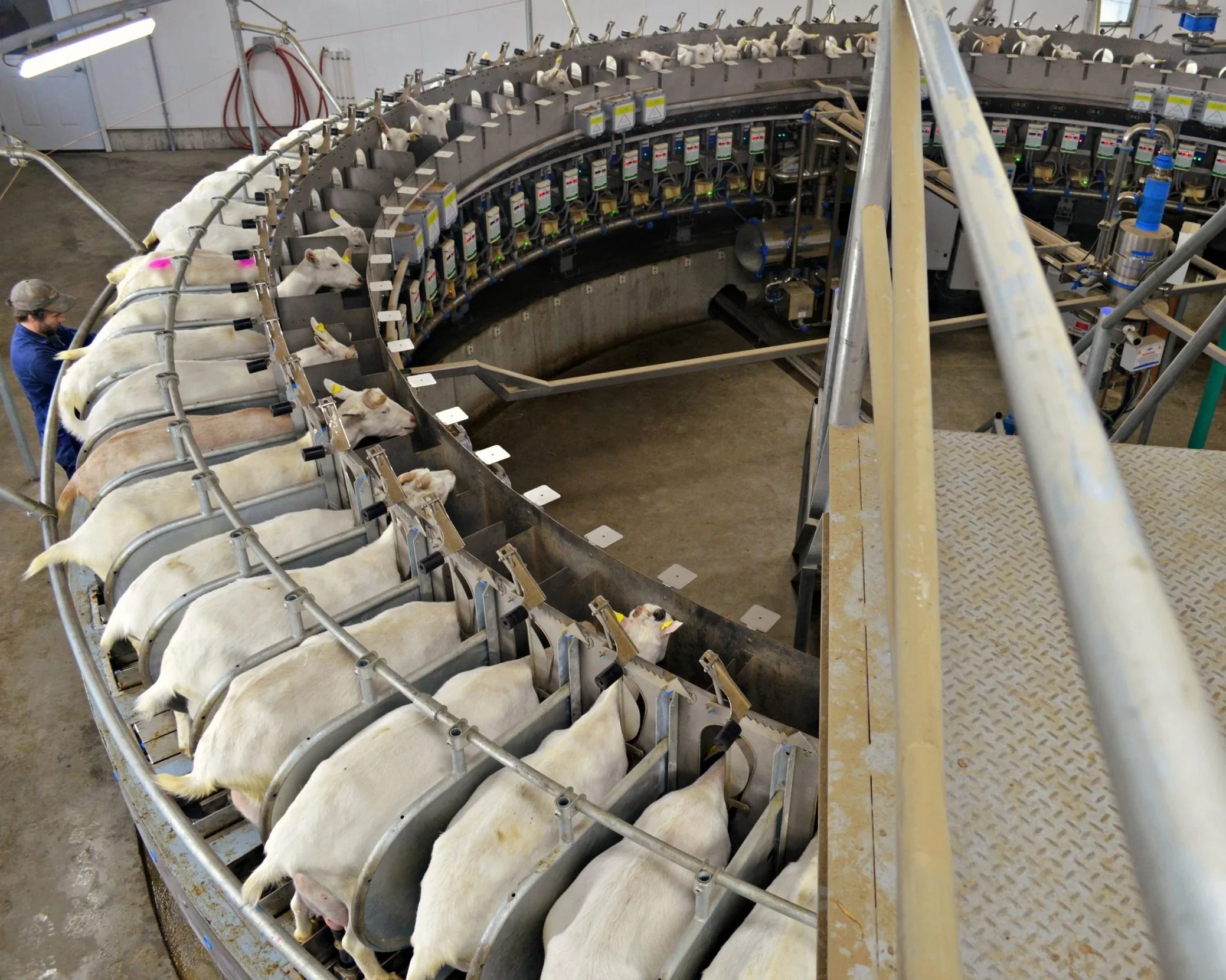 Rotary Parlour