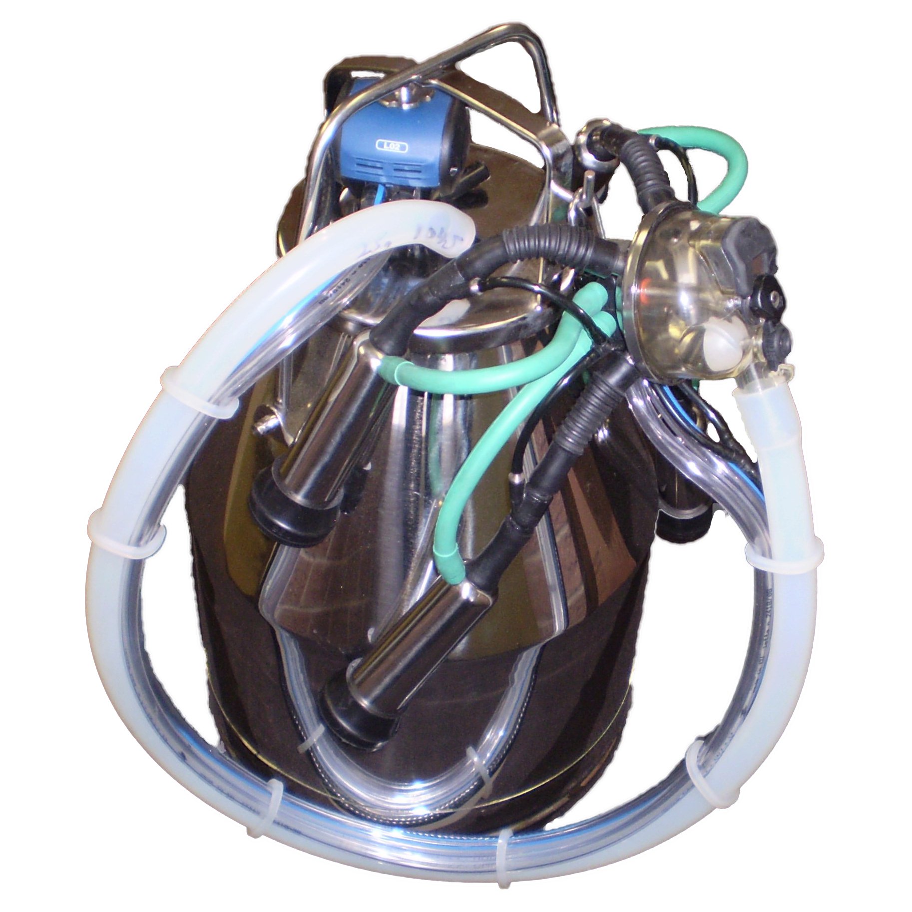 milking bucket system with pulsator and cow milking cluster