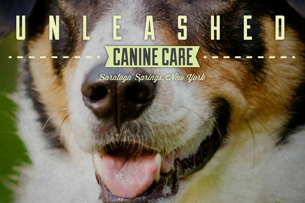 Unleashed Banner.jpg