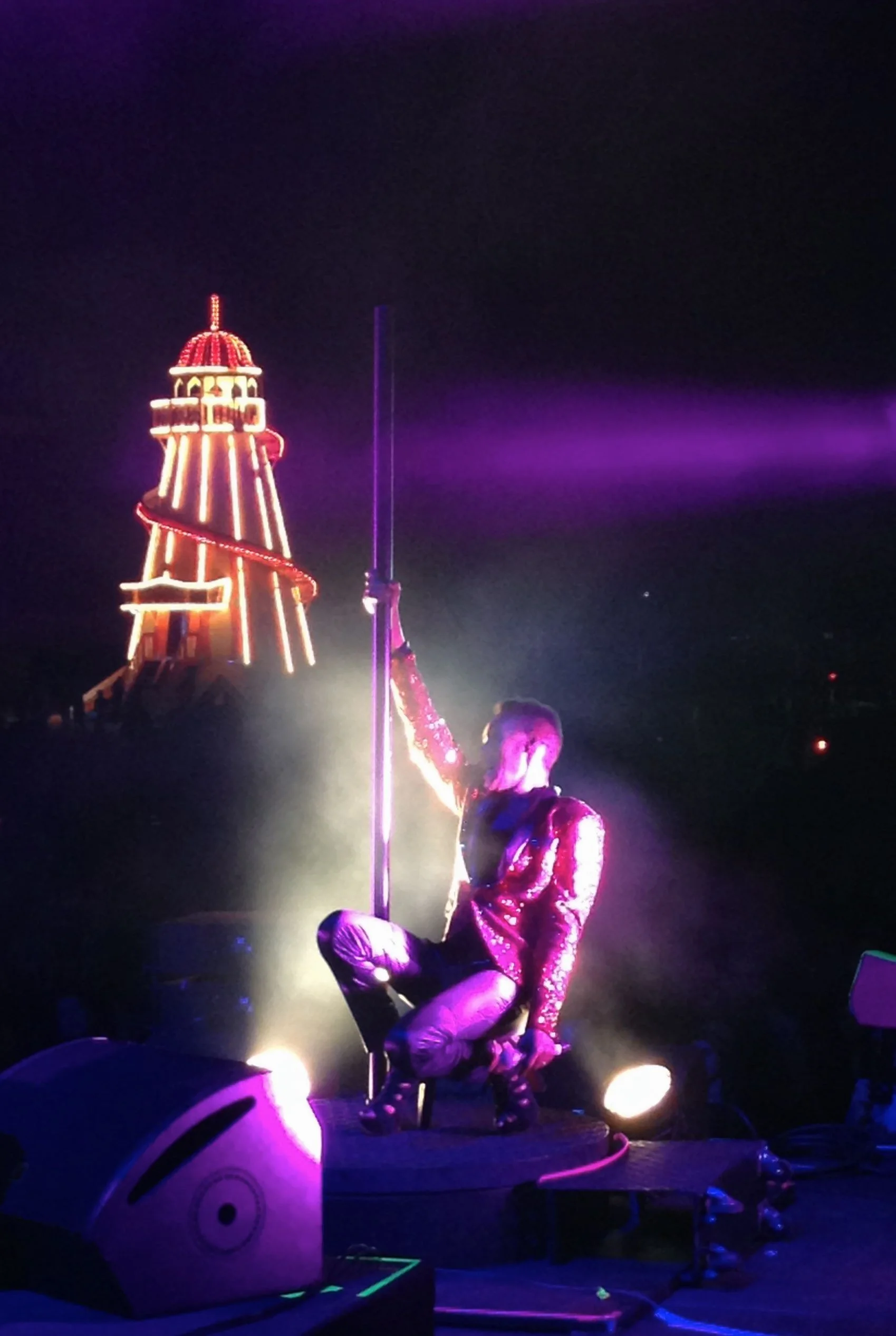 GJ PURPLE 4 sel 2.jpg