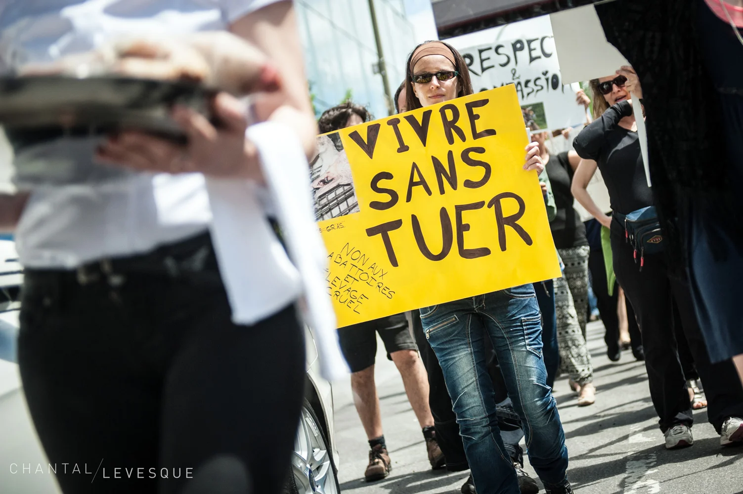 manif-4894.jpg