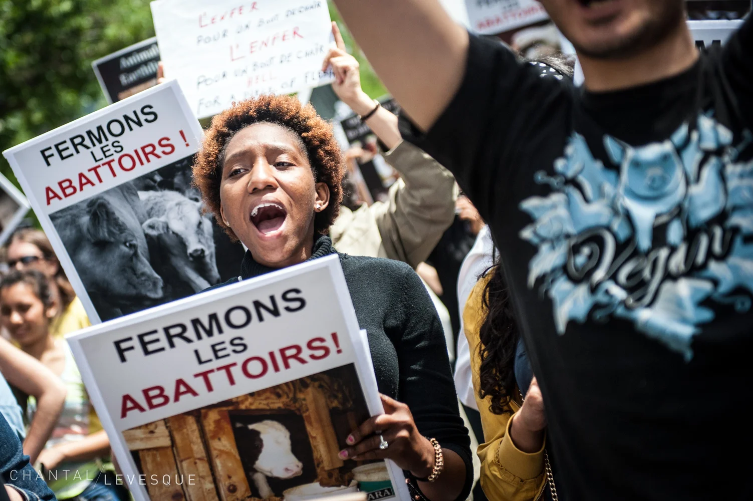 manif-4961.jpg