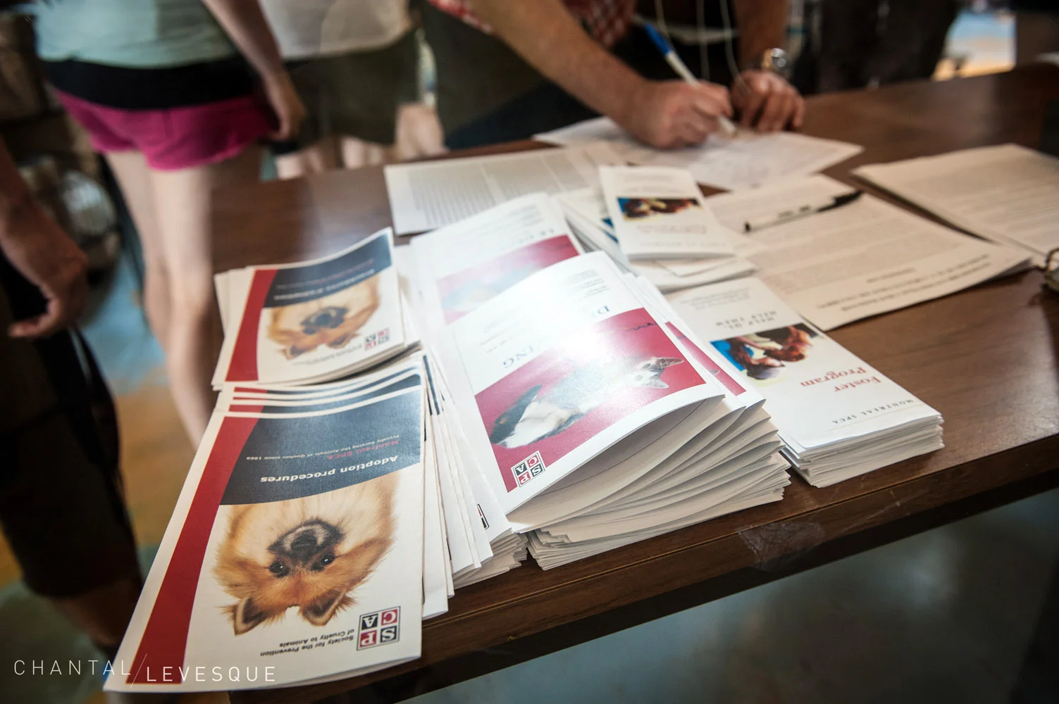 spca-7744.jpg