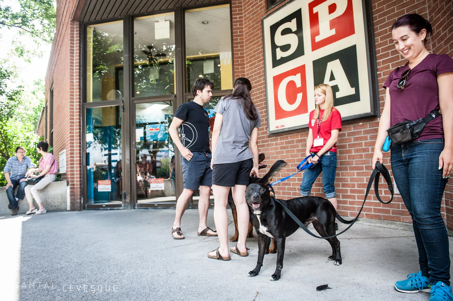 spca-7746.jpg