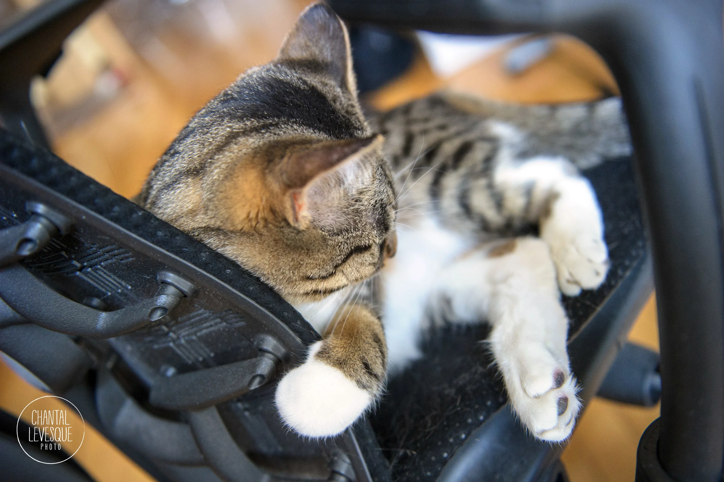 Crashed out