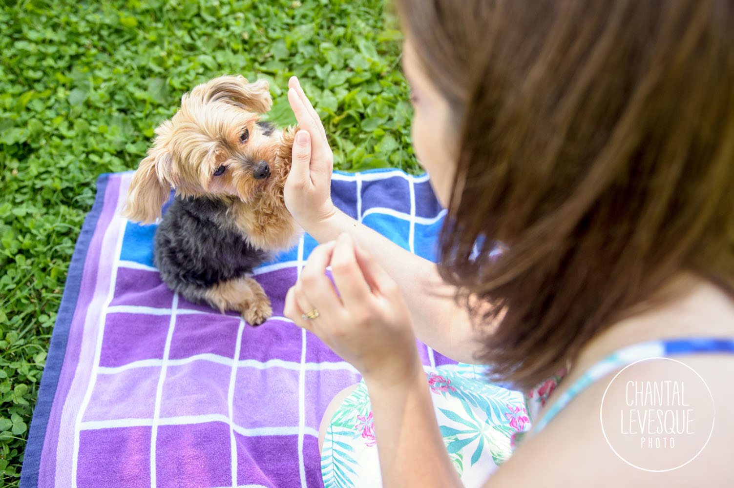High five!