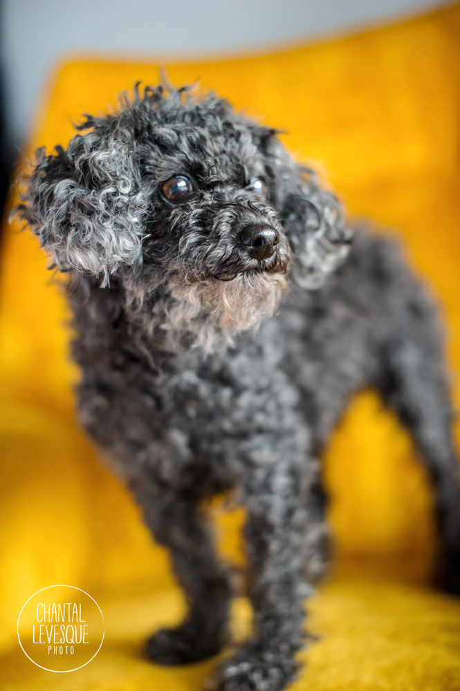 Bella