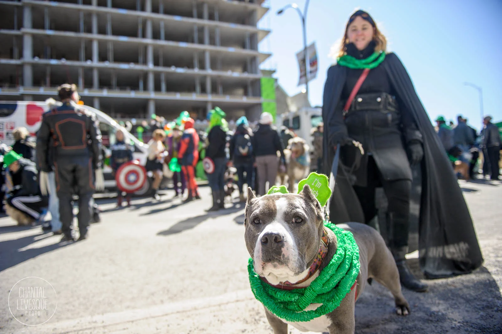 SPCA-St-Patrick-0429.jpg