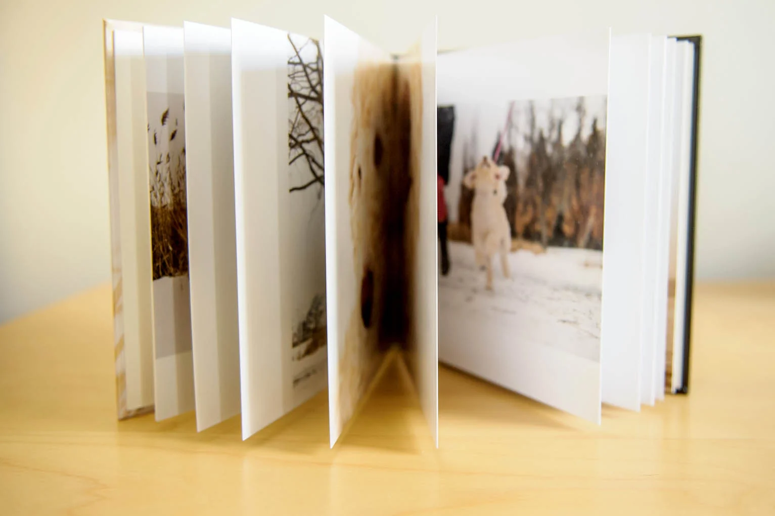 albums-essentiel-4492-web.jpg