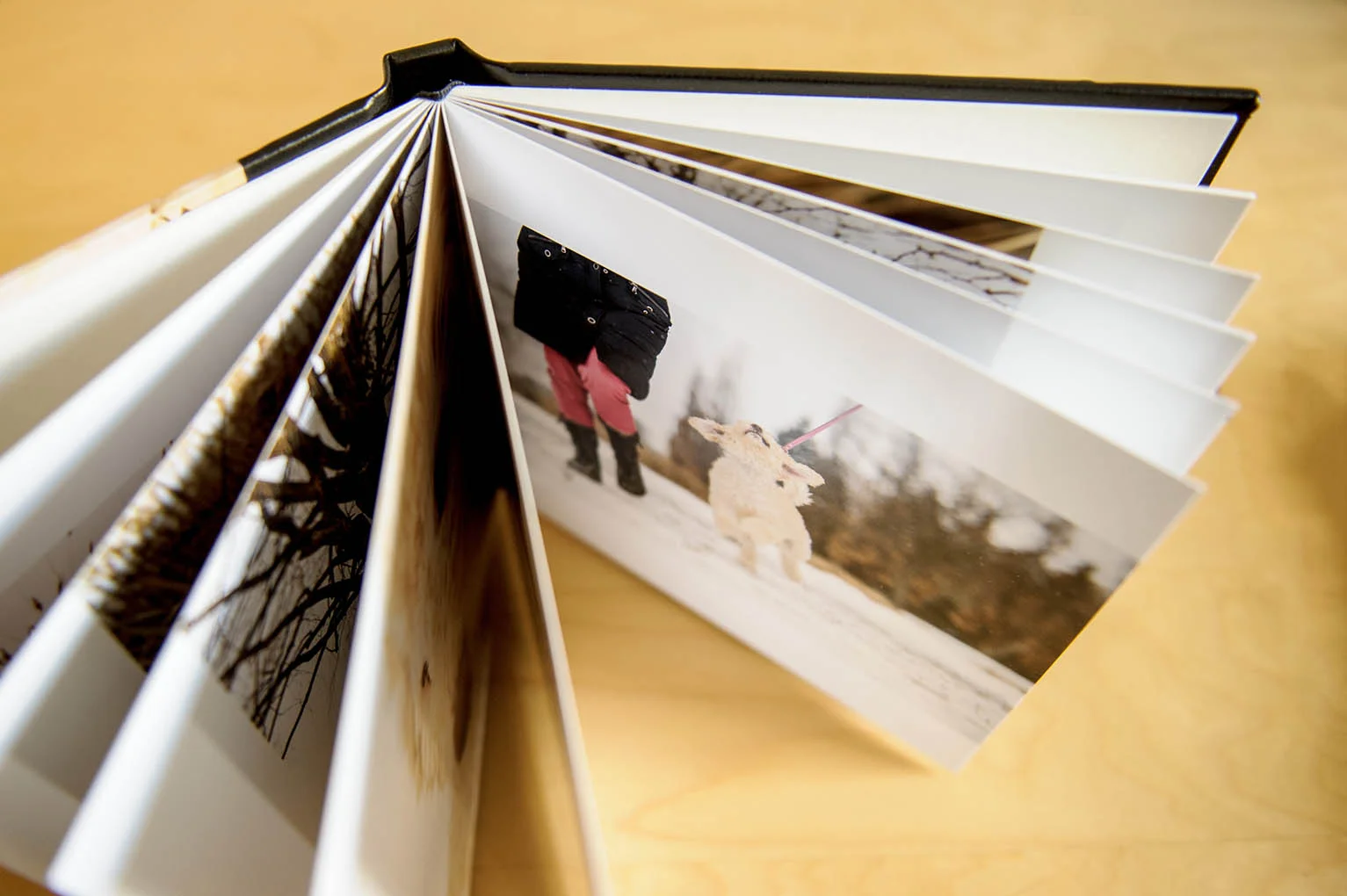 albums-essentiel-4494-web.jpg
