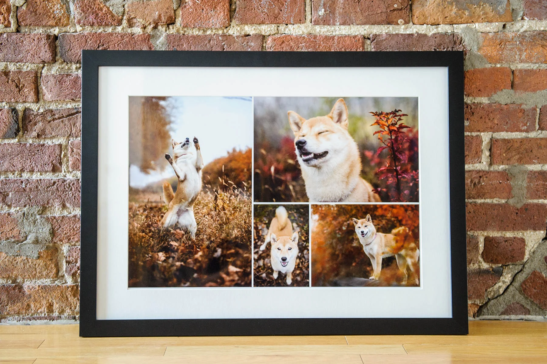 Fall-storyboard-3729-web.jpg