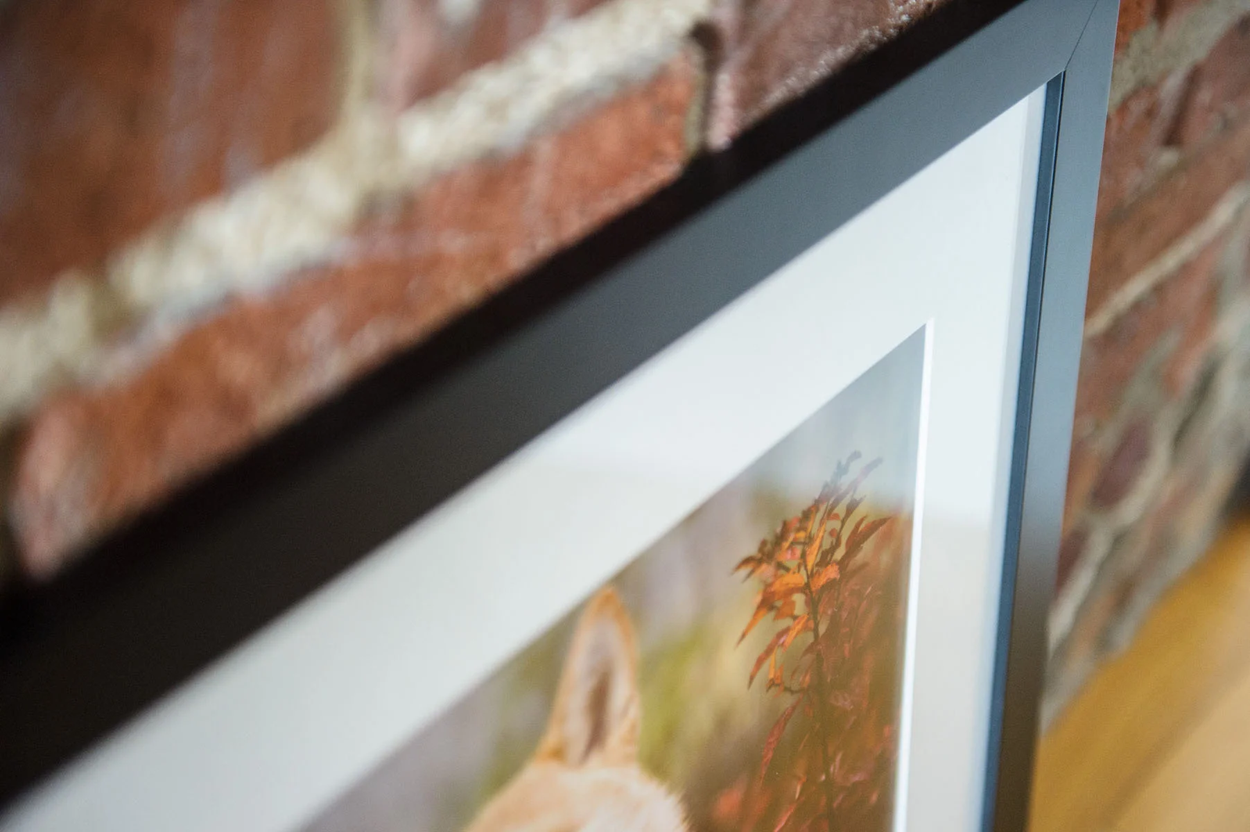 Fall-storyboard-3730.jpg