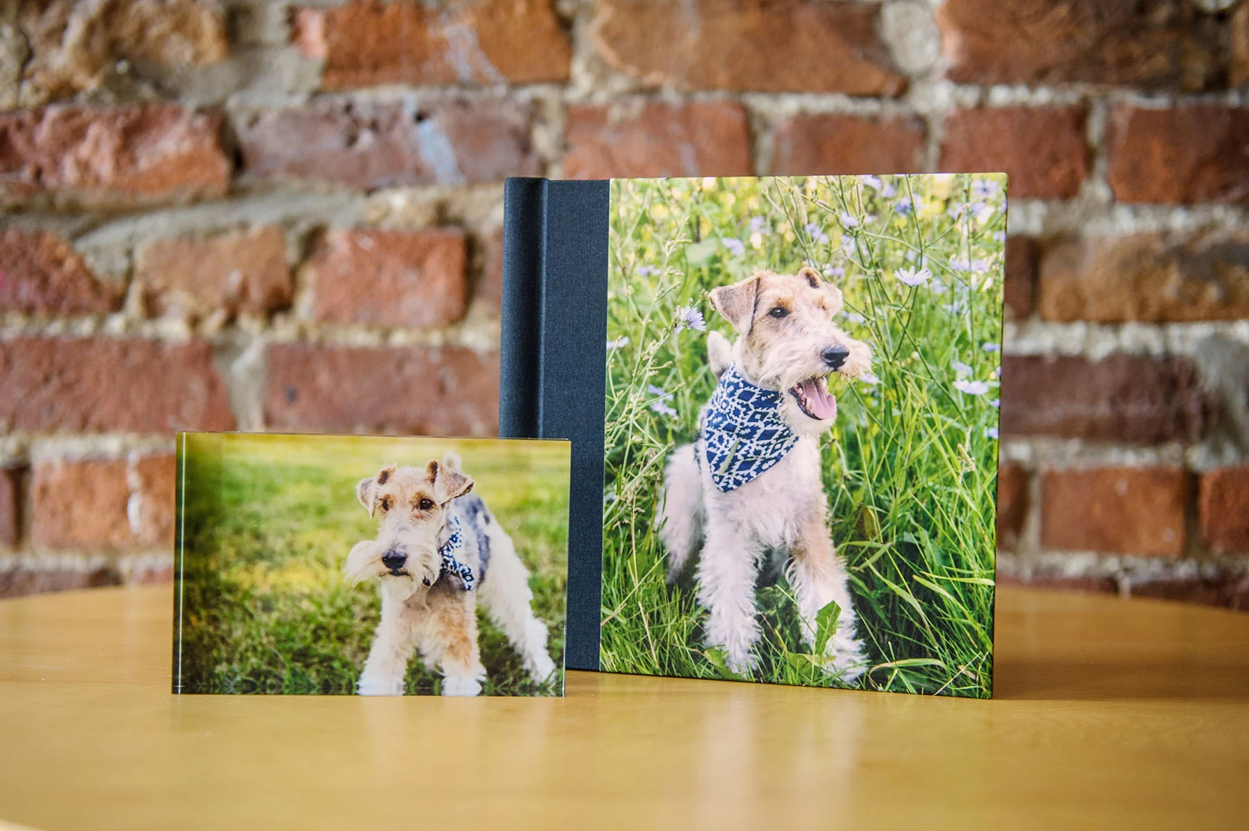 fine-art-photo-album.jpg