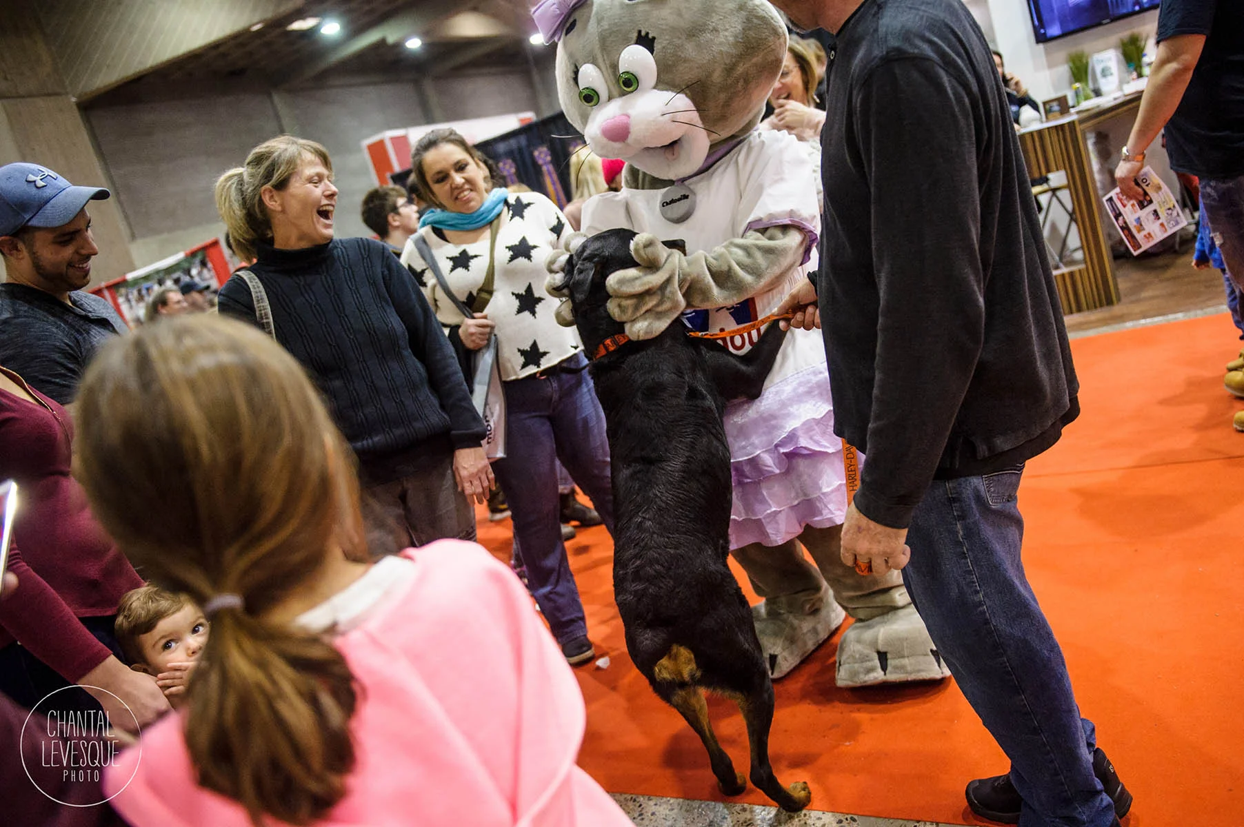 SNAC-Montreal-6217.jpg
