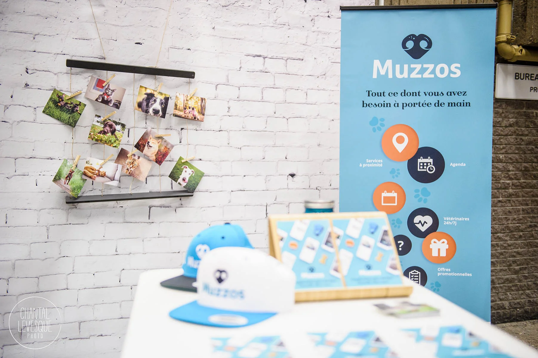 SNAC-kiosque-muzzos-montreal.jpg