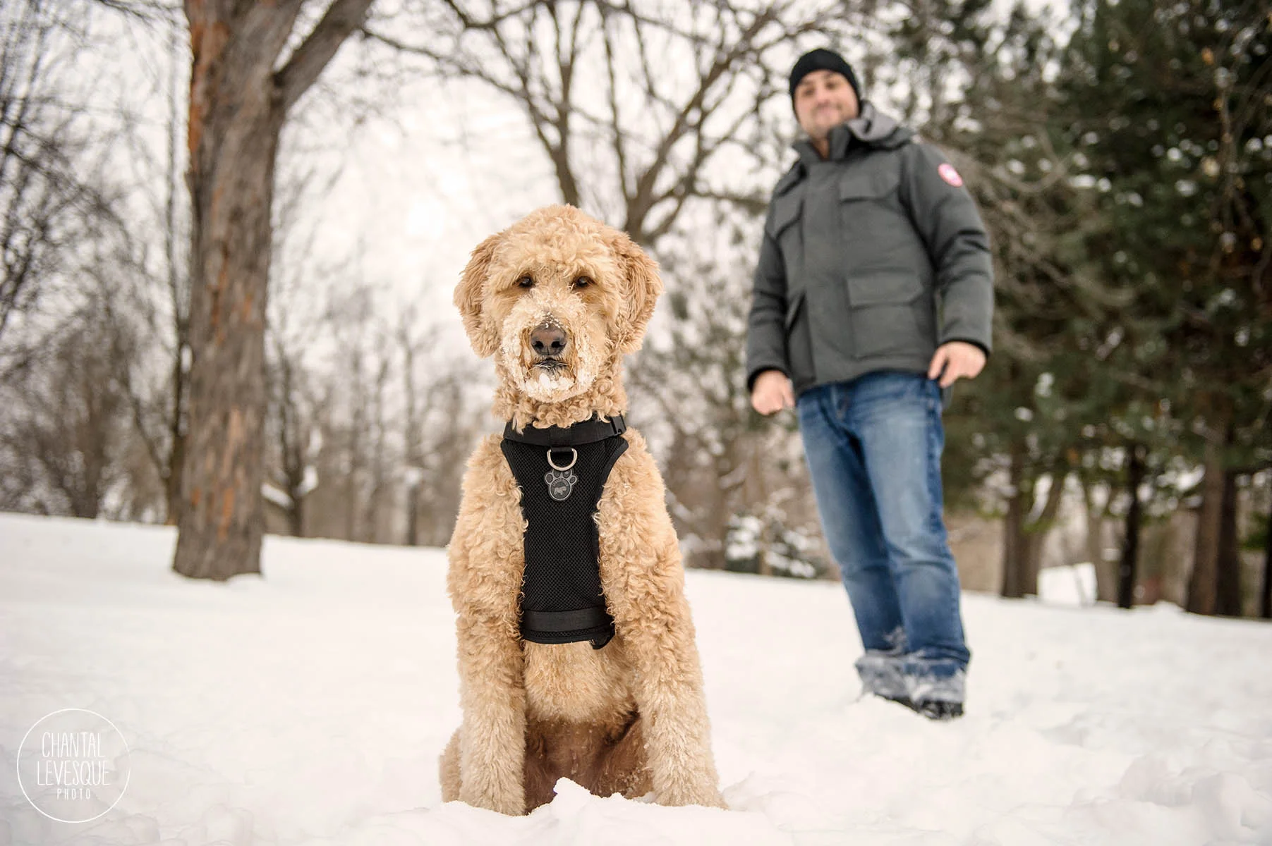 man-and-dog-photography-montreal.jpg