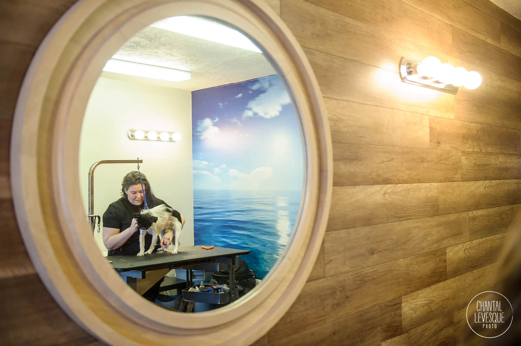 dog-spa-treatment-rosemont.jpg