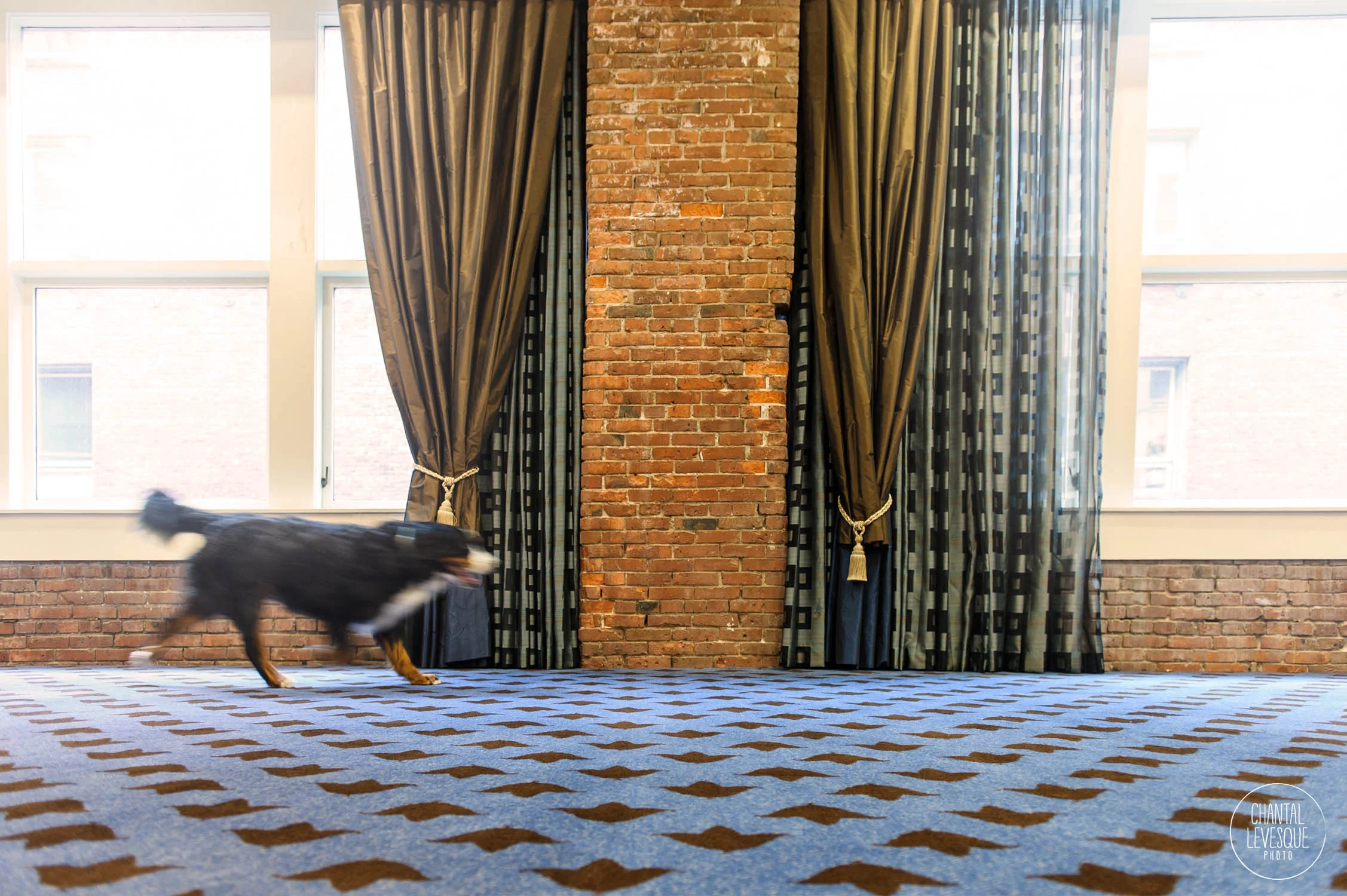 hotel-alexis-seattle.jpg