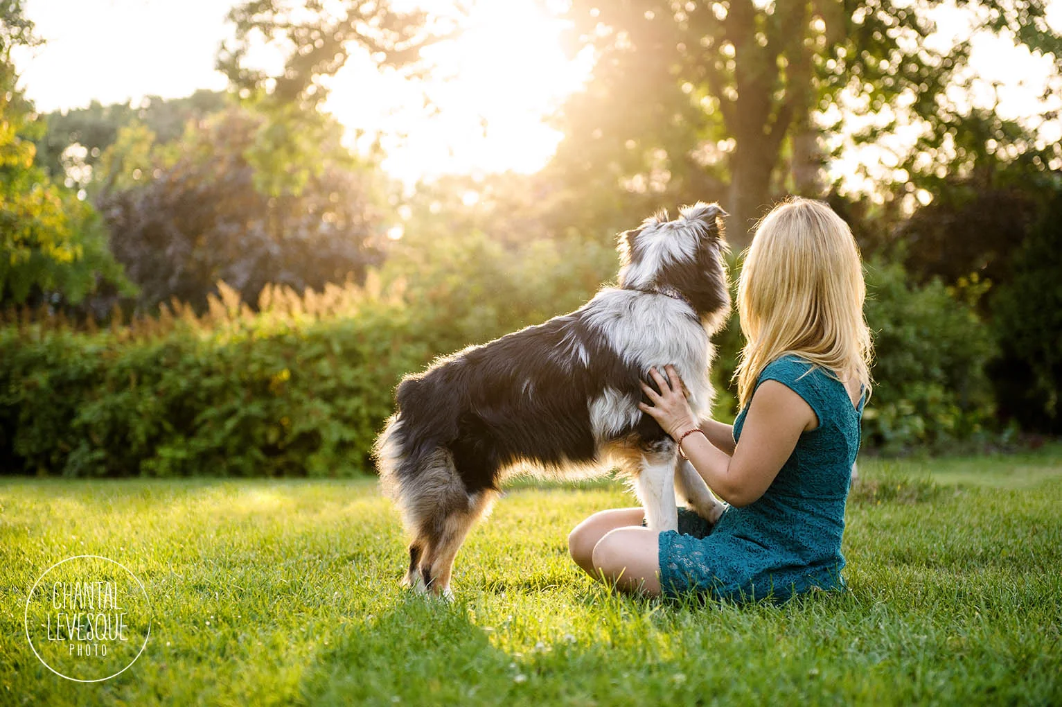 dog-mum-sunset-photo-montreal.jpg